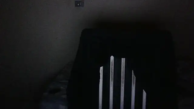 pornstarbrezillian webcam