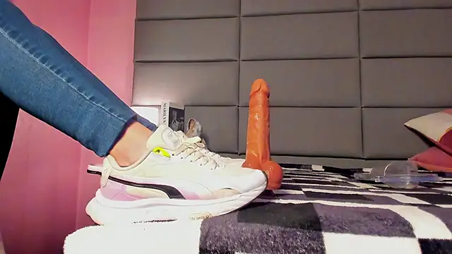 VidiaStons webcam