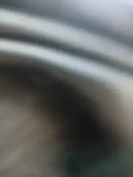 Kingbigcock23cm webcam