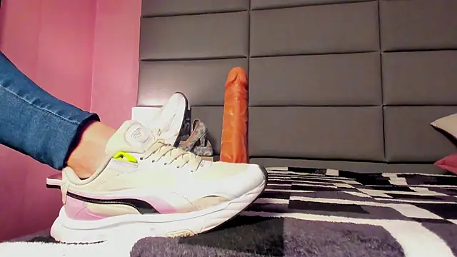 VidiaStons webcam