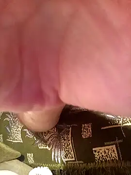 Pineapple04 webcam