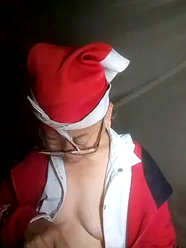 VangLe73 webcam