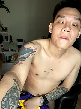 latava webcam