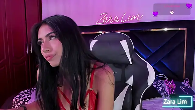 ZaraLim webcam