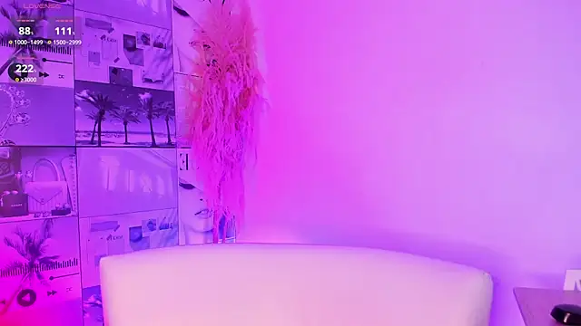 imleana_ webcam
