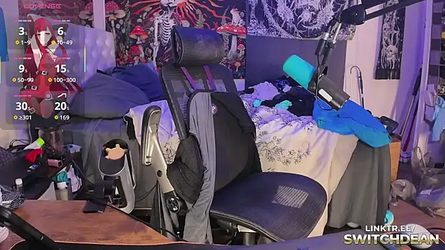 SwitchDean webcam