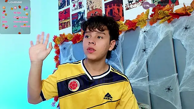 nico_leroy webcam