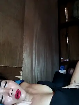 wildcat30 webcam
