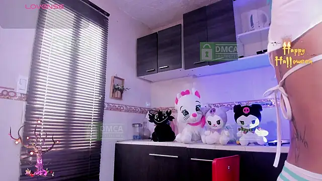 Palmer-Foster webcam