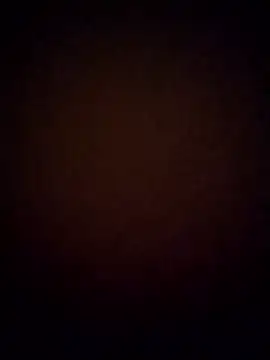 ivissonsilva1