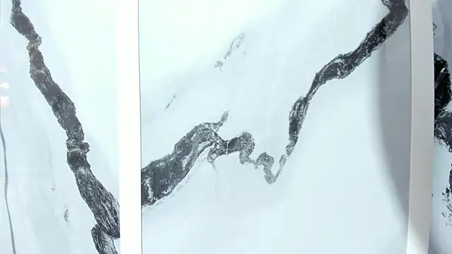 tifany_bigdick Live Webcam on Stripchat