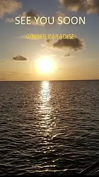 Ginger_Paradise Live Webcam on Stripchat