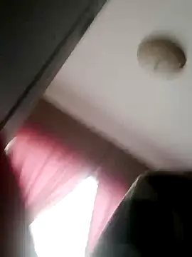 Preview of stiflercumsforyou