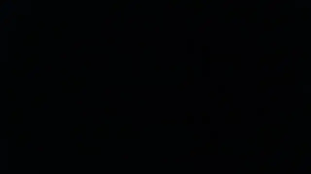 Preview of longschlong00