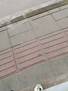 Preview of vivienandclark