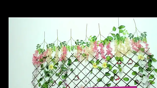 stefany_bitch Live Webcam on Stripchat