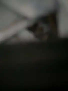 __iris__ (F young) - #ahegao #brunettes #brunettes-petite #brunettes-young #cam2cam #deluxe-cam2cam #doggy-style #fingering #fingering-latin #fingering-young #hd #interactive-toys #interactive-toys-young #latin #latin-doggy-style #latin-young #lovense #middle-priced-privates #middle-priced-privates-latin #middle-priced-privates-young #mobile #mobile-young #nipple-toys #orgasm #outdoor #petite #petite-latin #petite-young #recordable-privates #recordable-privates-young #sex-toys #shaven #small-tits #small-tits-latin #small-tits-young #spanking #student #topless #topless-latin #topless-young #young