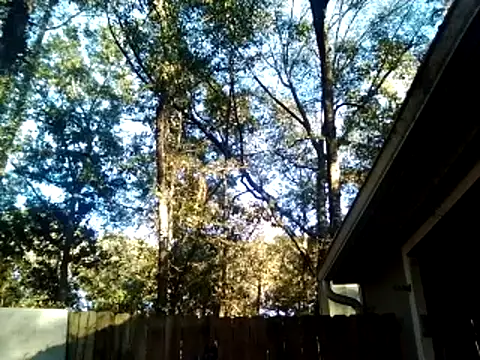 Buffshagswell's Stripchat show and profile