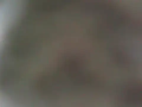 Preview of expenser37