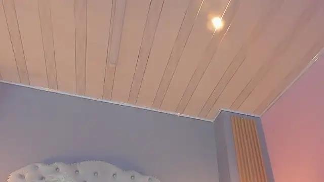 Preview of ramonasimons