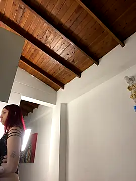 Preview of paulina-wells