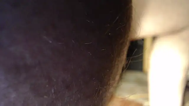 dreamz420 (M grandpa) - #american #anal #balds #beardy #big-balls #cam2cam #cheap-privates #ejaculation #grandpas #hairy-armpits #hd #humiliation #jerk-off-instruction #masturbation #medium #orgasm #small-audience #smoking #spanking #straight #white