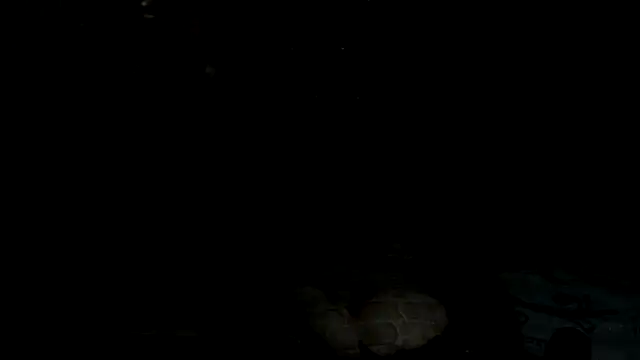 hoittytoittyxx Live Webcam on Stripchat