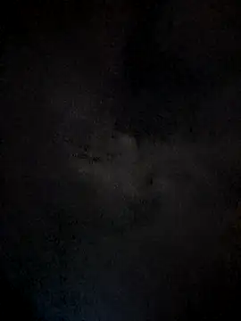 lady_and_charly - Lady_and_charly's free webcam