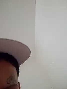 Preview of bieelzinn01