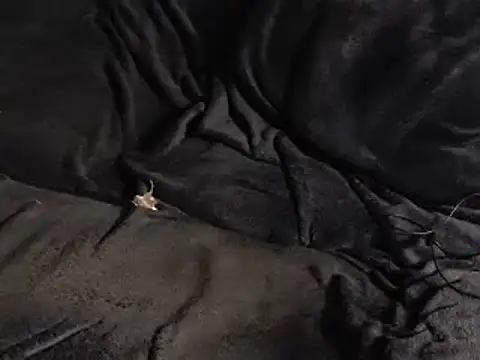 torso893 - Torso893's free webcam