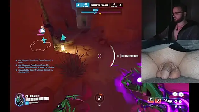 bear8t (M young) - going towards a new toy