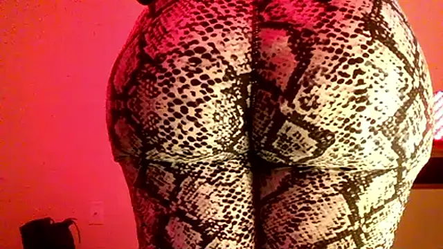 Preview of bellacagyal