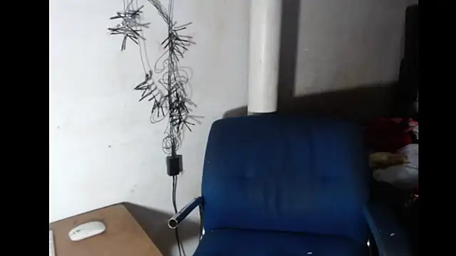 BebaFoxx Live Webcam on Stripchat