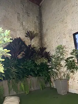 Preview of maxim-walker