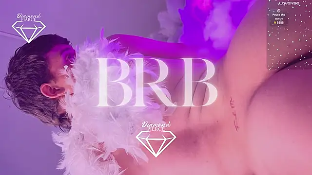 Preview of diamond_piarce