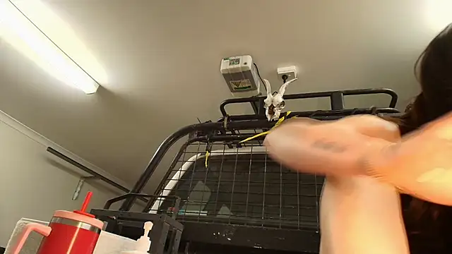 aus_queen Live Webcam on Stripchat