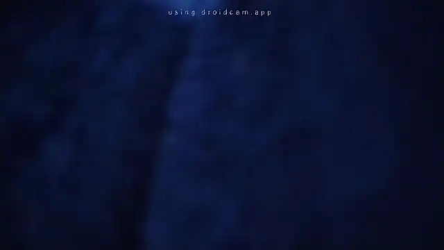 swansblacks (G young) - Calentarnos