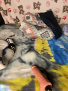 Iam_FernandaH Live Webcam on Stripchat