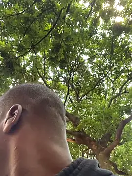 solodrive (M young) - Spread ass hole and cum