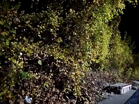 Preview of sloppytopkins