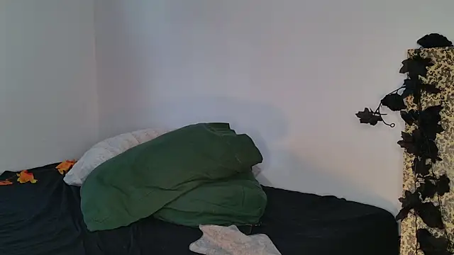 JackDesFeux's Stripchat show and profile