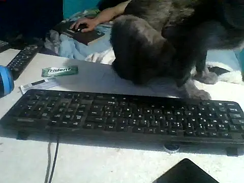 Preview of malekon76