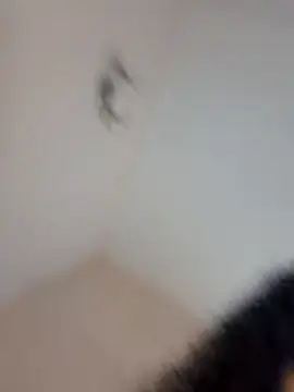 Webcam Model (ItsLeyaa)  is live.Free join now!