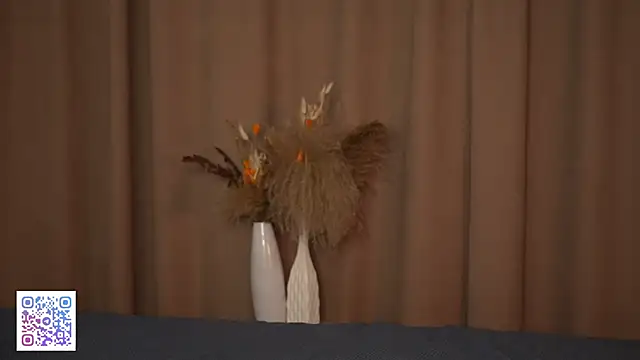 AshleyNikoo webcam stripchat model stream image