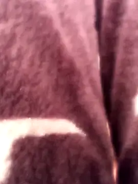 Gardener_of_Illusions