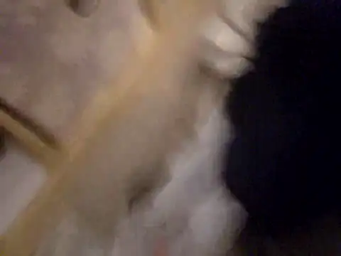 TigOBittiesTheOriginal