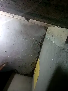 Webcam Model (Gautami-telugu)  is live.Free join now!