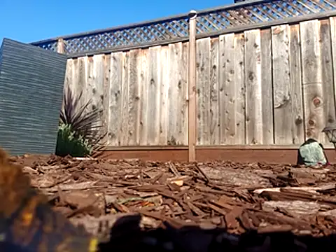 devintoore (Ask my age) - Smoke, stroke- Stroke, smoke.