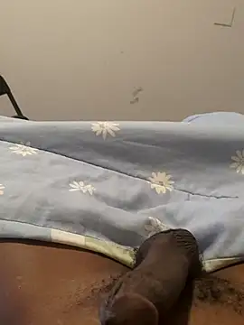 bigbuufuu (M young) - #american #brunettes #cheapest-privates #cuckold #ebony #ejaculation #erotic-dance #handjob #hd #masturbation #medium #mobile #new #oil-show #small-audience #straight #young