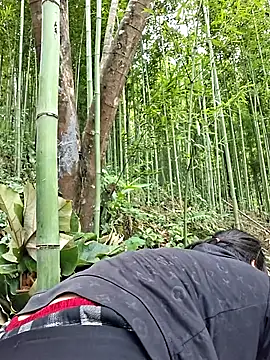 diamond-- - Diamond--'s free webcam - UK Sex Cams